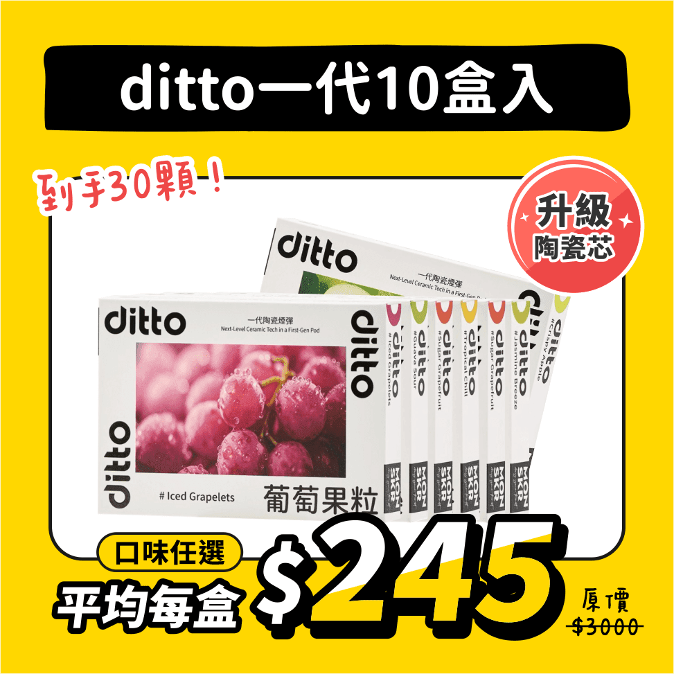 ditto一代煙彈 10盒入